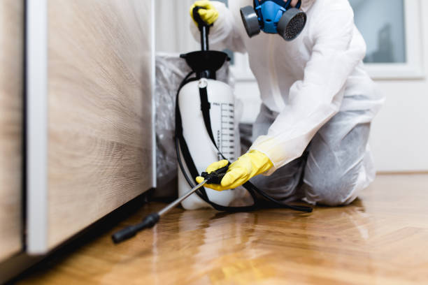Best Exterminator Services  in Pierce, NE