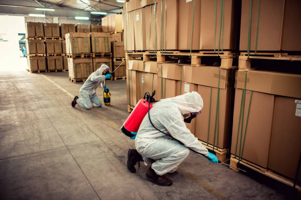 Best Pest Inspection Near Me  in Pierce, NE