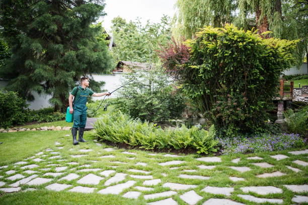 Best Wasp Removal Services  in Pierce, NE