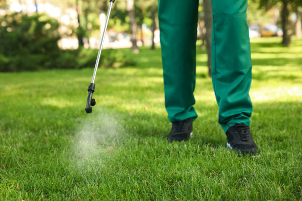 Best Flea Control Services  in Pierce, NE