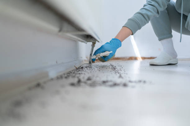 Reliable Pierce, NE Pest Control Solutions